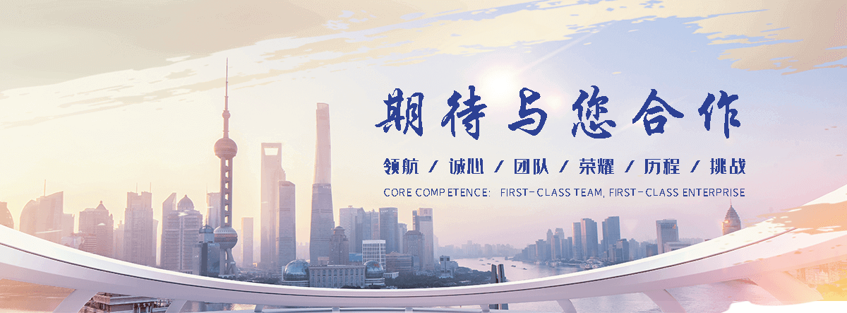 嘉黎海狮租赁公司